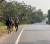 Seven maoists killed in Chhattisgarh encounter