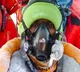 Chandrababu tweets about Anantapur youth Upendra who scaled Mount Everest