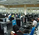 IT sector jobs witness a significant rise across tech hubs: Report