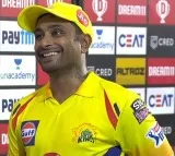 Rayudu accuses RCB management, players of putting 'individual milestones' ahead of the team