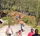 More than 100 dead in Papua New Guinea landslide