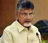Chandrababu wrote UPSC to postpone IAS Confirmation in AP