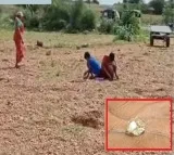 Karnool District Farmers found a precious diamond in his farm