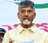 Chandrababu condemns attack on TDP worker Seshadri in Kuppam constituency