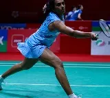 PV Sindhu lost the Malaysia Masters final to Wang Zhi Yi of China