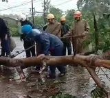 Moderate impact of Cyclone Remal in coastal Bengal, high alert continues