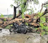 13 people dead in Telangana as windstorm hits