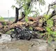 13 people dead in Telangana as windstorm hits