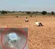 Agriculture labour found two diamonds in karnool District