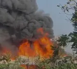 Now We Dont Trust Gujarat Government High Court On Rajkot Fire Lapses