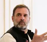 Dont defame Adani plea filed in Delhi HC against Rahul Gandhi and Narendra Modi