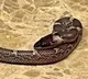 Woman bitten by snake on Kerala train