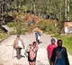 6 bodies retrieved in Papua New Guinea as thousands feared buried