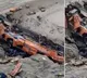 At least 28 killed after bus falls into ravine in Pakistan