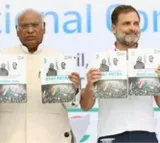 2024 LS polls: Rahul Gandhi held over 100 rallies & public interaction programmes; Kharge gave 50 interviews