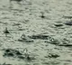 Monsoon hits Kerala and Northeast two days earlier than usual IMD