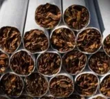 ICC Cricket World Cup 2023 had 41 per cent surrogate ads on smokeless tobacco: ICMR