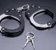 Two more Telangana officials held in sheep distribution scam