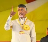 Chandrababu directs party cadre ahead of counting