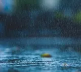 IMD predicts monsoon likely to enter AP by June 5