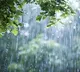 Southwest Monsoon hits states early