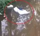 Violence During Final Phase Voting In Bengal EVM Tossed Into Pond