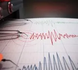5 point 9 magnitude earthquake shakes Japan no Tsunami warning