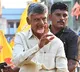 TDP-led alliance heading for clean sweep in Andhra Assembly polls