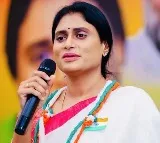 YS Sharmila Trailing From Kadapa