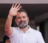 Rahul Gandhi Leading In Both Two Seats