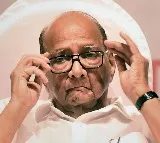 Did Sharad Pawar Dial Nitish Kumar and Chandrababu Naidu