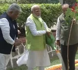 On World Environment Day, PM Modi's 'Ek Ped Maa Ke Naam' campaign