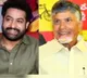 Andhra Assembly polls: Jr NTR congratulates Chandrababu Naidu, Balakrishna