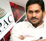 I PAC Special Tweet on AP Elections 2024 Results