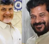 Telangana CM speaks to Chandrababu Naidu, congratulates him on TDP's victory