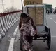 Lunchbox And A Lift Viral Video Shows Womans Compassion For Struggling Rickshaw Puller