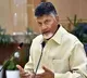 Chandrababu to meet TDP MPs
