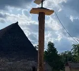 Starlink Brings Internet To Remote Tribe in Amazon forests Tribal youth suffer