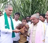 Harish Rao demand for rs 500 bonus for paddy