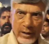 New Ministers, NDA allies, BJP leaders jubilant after third PM Modi govt sworn-in