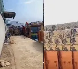 Its back all over AP king the fisher cheers Anam Shares Video