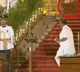 Leopard like animal spotted at Rashtrapati Bhavan during NDA oath taking ceremony yesterday