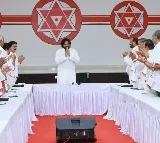 pavan kalyan elected as janasena legislature party leader