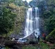 Hyderabad Youth Dead At Hebbe waterfalls in karnataka