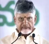Andhra CM Chandrababu Naidu heaps praise on BJP, says party promotes hard work