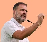 Rahul Gandhi in delimma to give up one Lok Sabha seat
