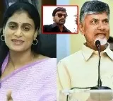 YS Sharmila and Chiranjeevi Wishes to CBN and Pawan Kalyan