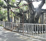 Chandrababu orders removal of screens set up as part of security measures during tirumala visit