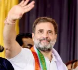 Wayanad or Raebareli? Rahul Gandhi likely to decide on Monday