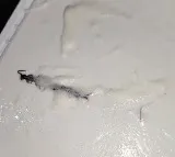 Uttar Pradesh woman claimed that she found a centipede an ice cream tub ordered online